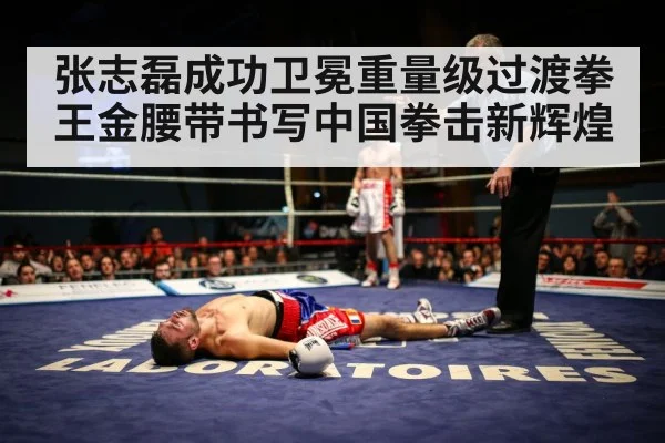 boxing knockout