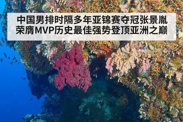 中国男排时隔多年亚锦赛夺冠张景胤荣膺MVP历史最佳强势登顶亚洲之巅